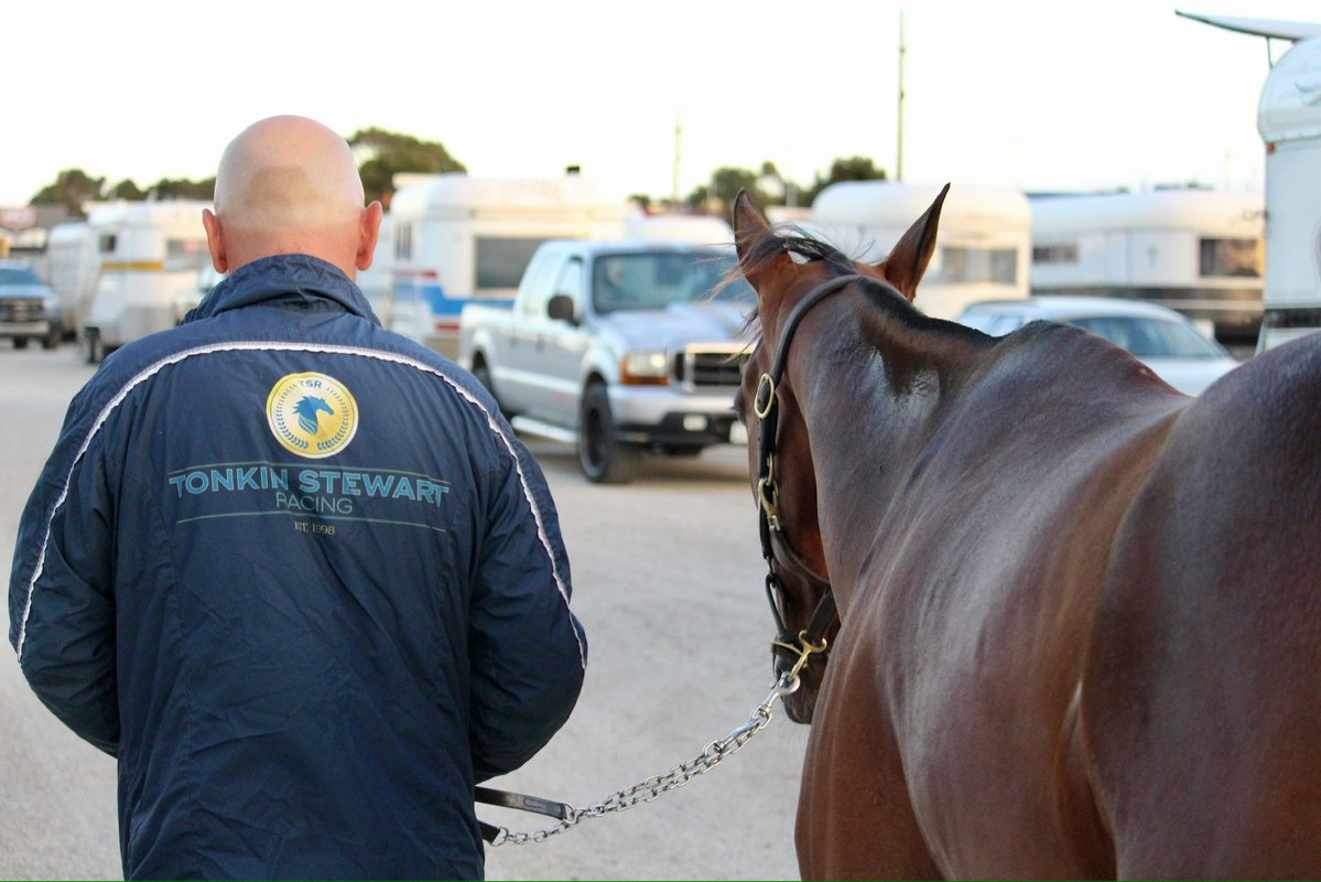 The Trots tweet media