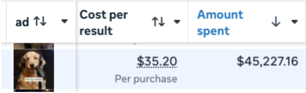 Adam Taylor tweet media