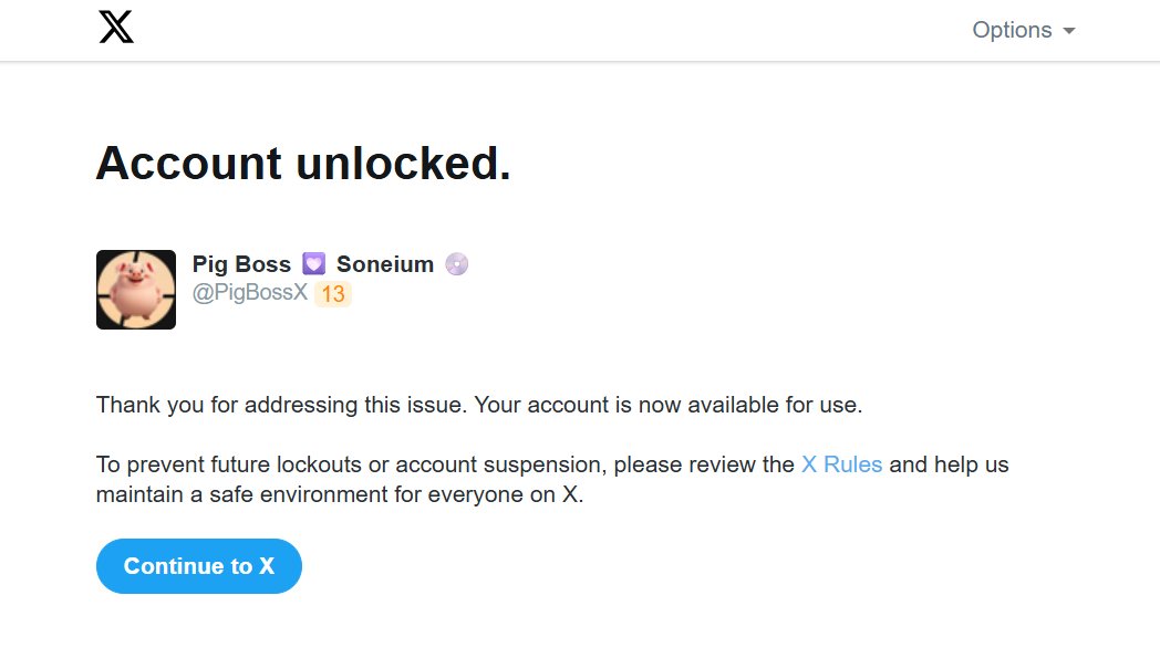 Pig Boss 🥷 tweet media