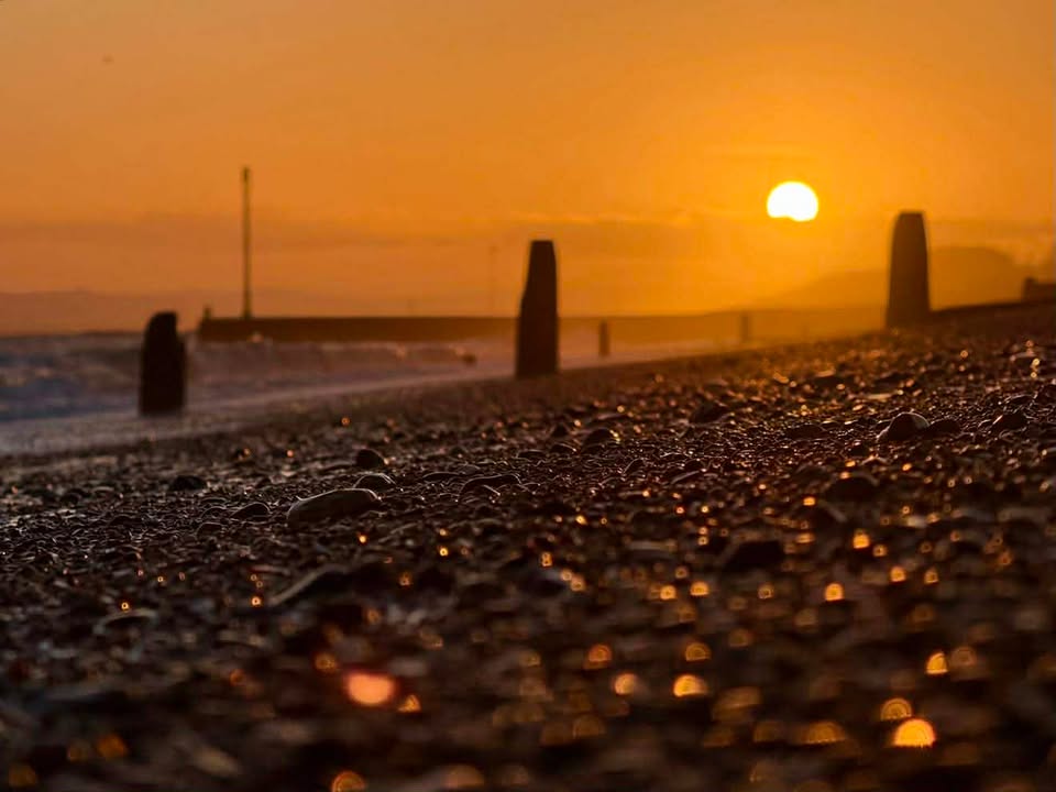 BBC Sussex tweet media