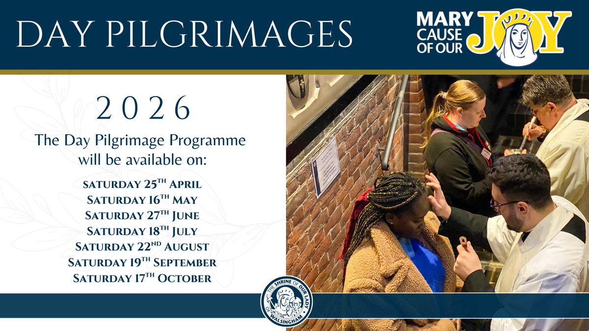 The Shrine of OLW tweet media