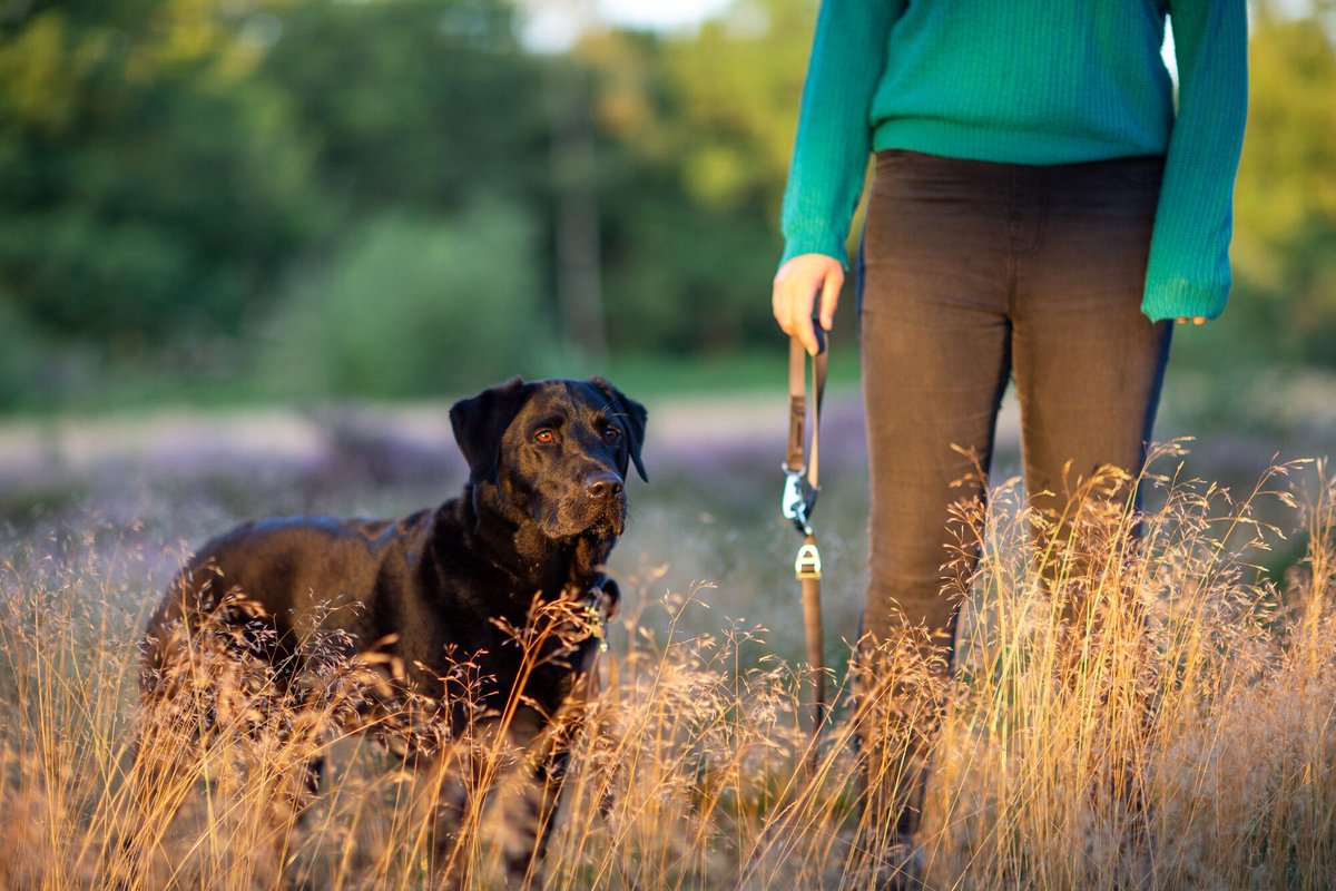South Downs National Park tweet media