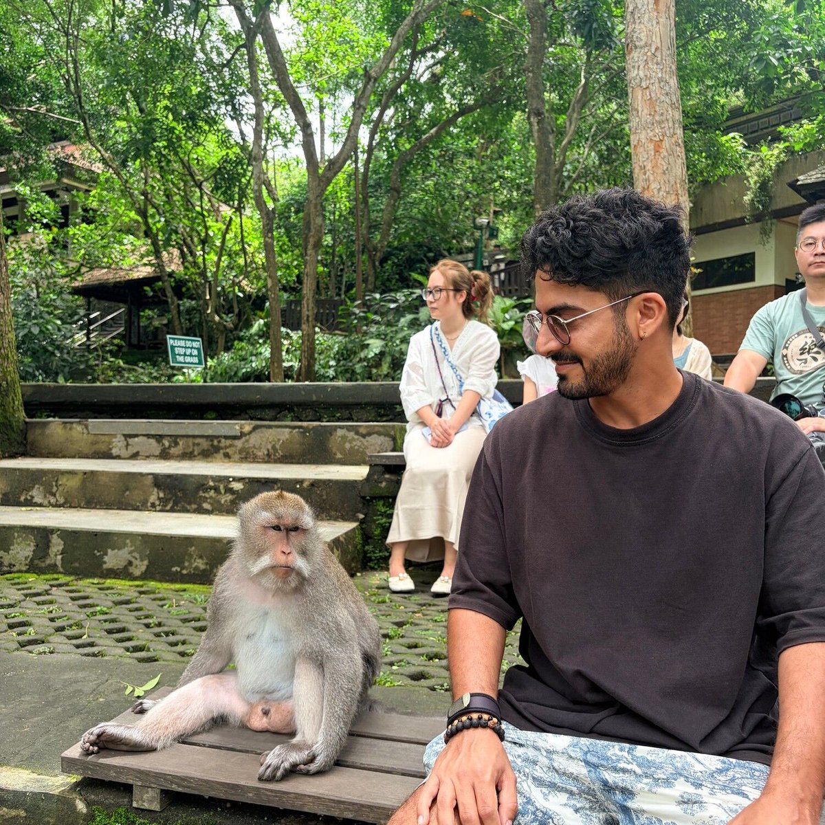 Eric Djavid tweet media