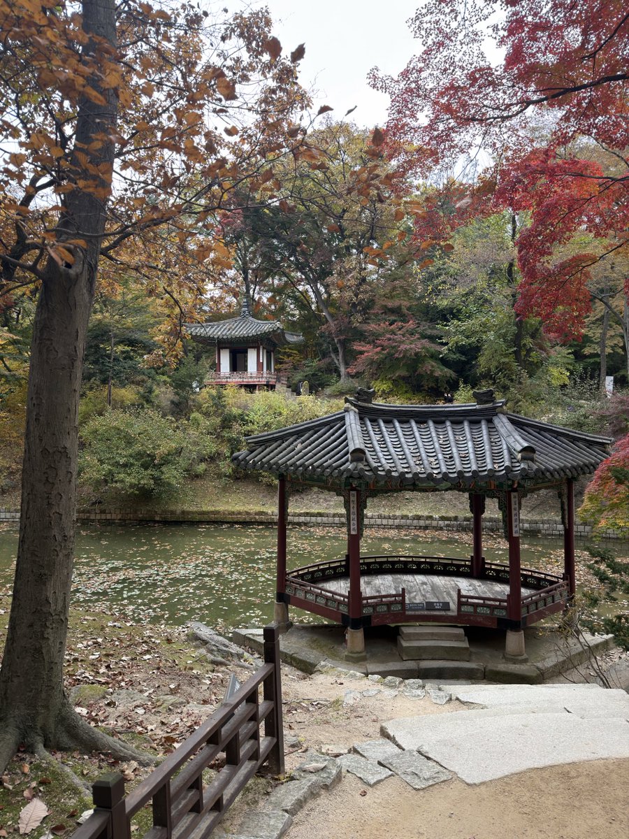Fabmuzun_'s tweet photo. The Secret Garden, Changdeokgung Palace 🍂

— Seoul , November 2025 https://t.co/rErbHeKICk
