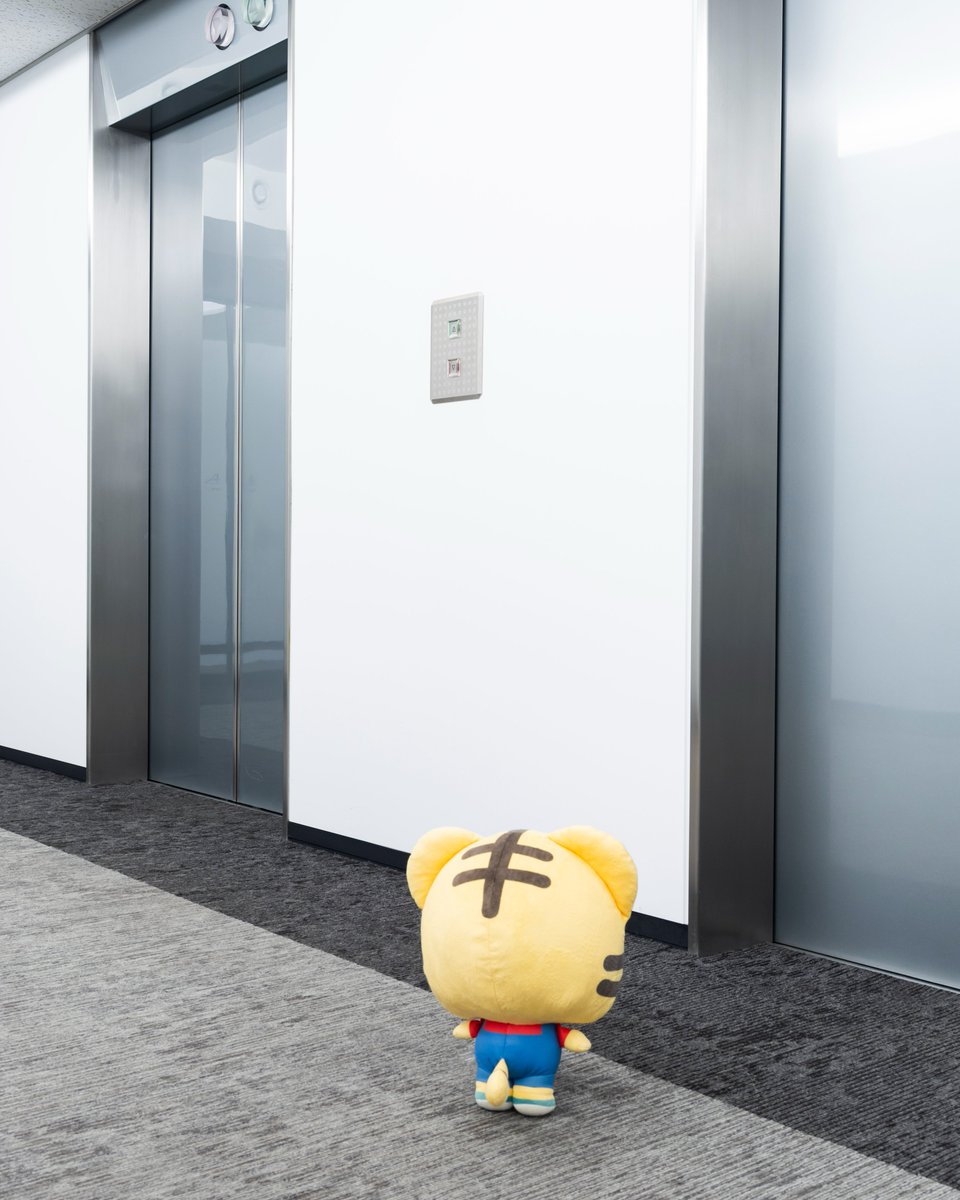 しまころ tweet media