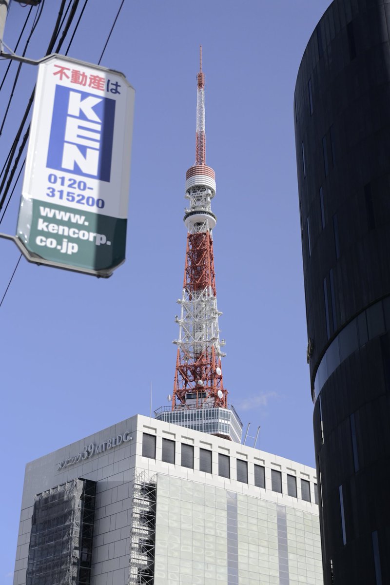 김밥이/코튼이/무명이 tweet media