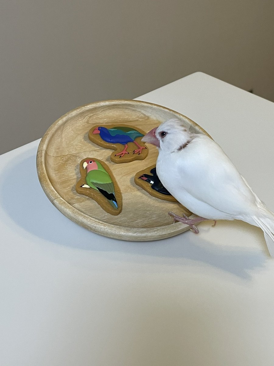 よんちゃ tweet media