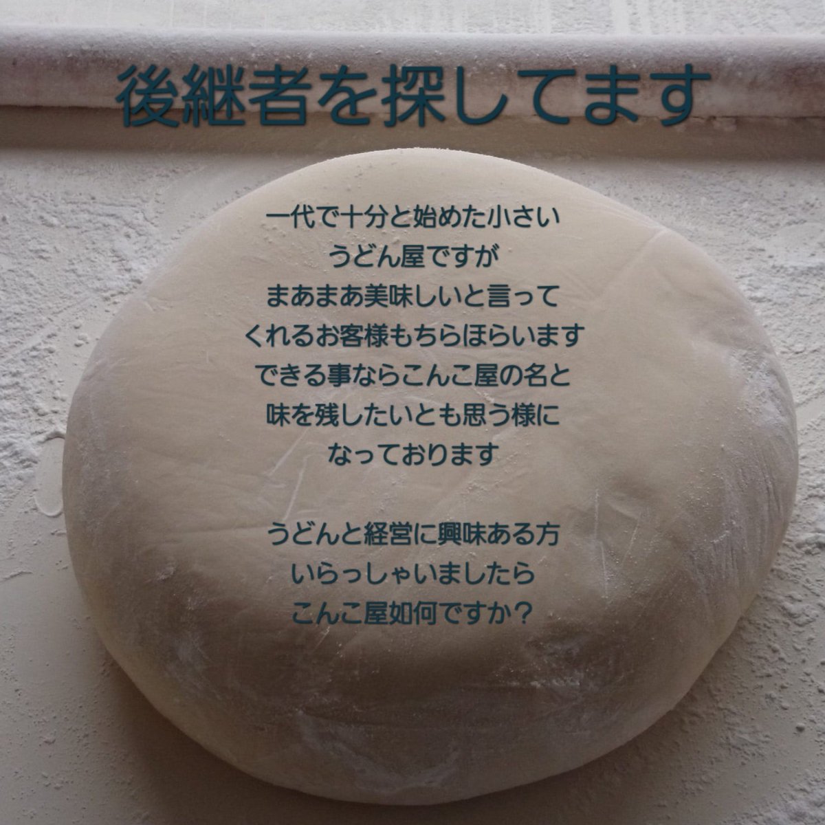 こんこ屋 tweet media