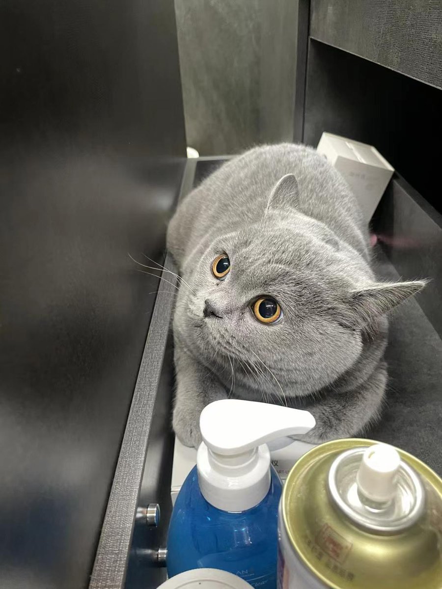 Hamza Muhammad tweet media