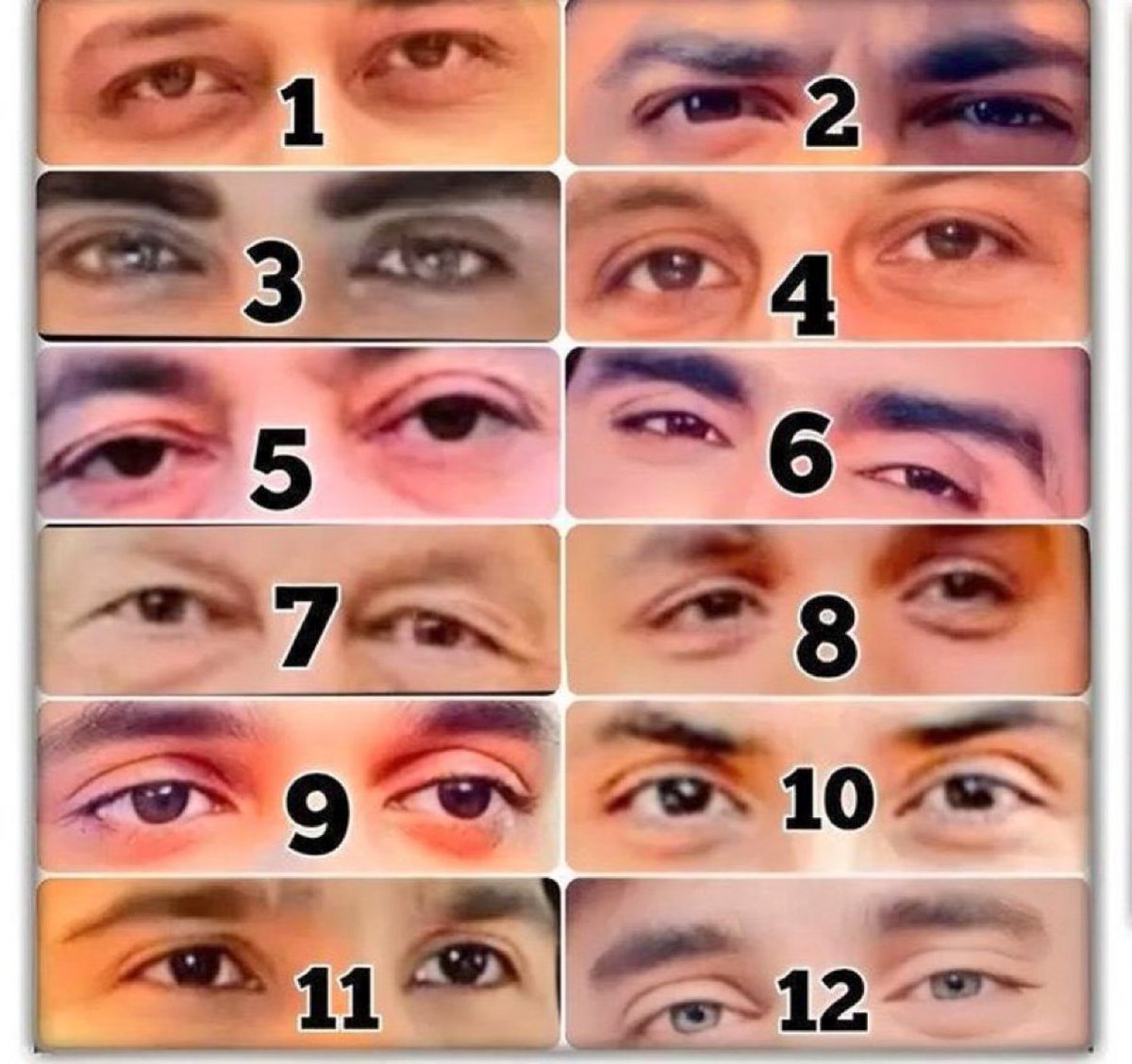 Syeda Zahra tweet media