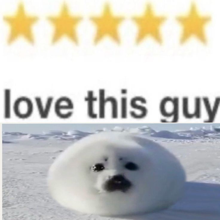 ˚ও Fattie 🦄✨ tweet media