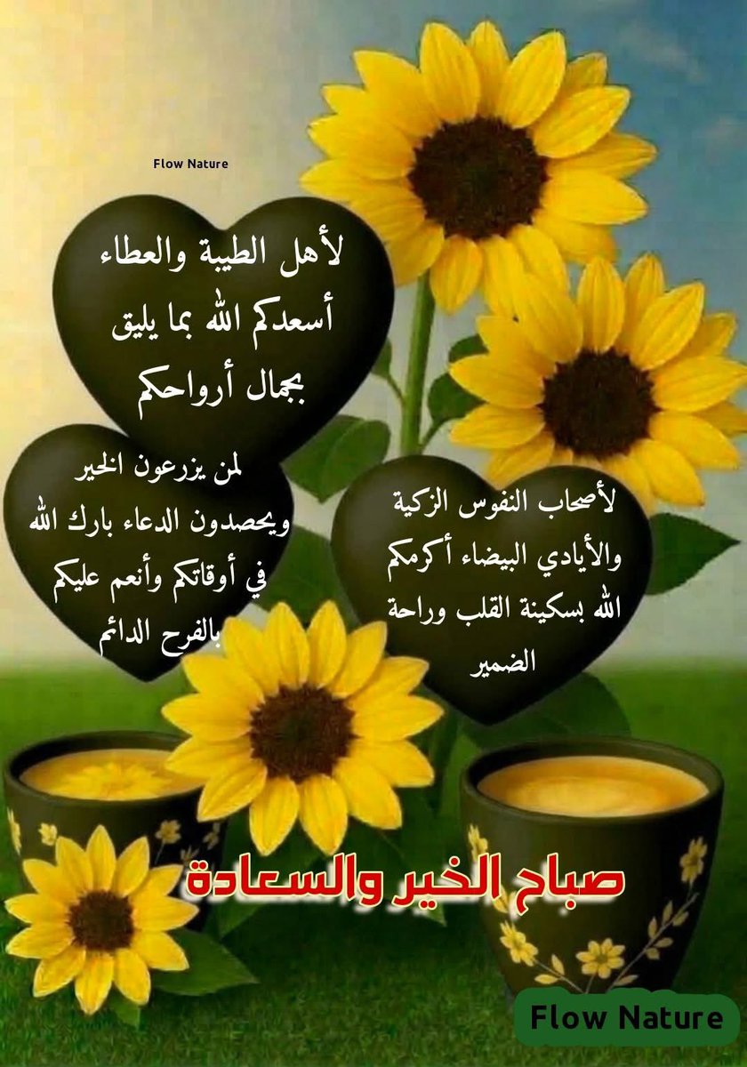 علي المخيبر tweet media