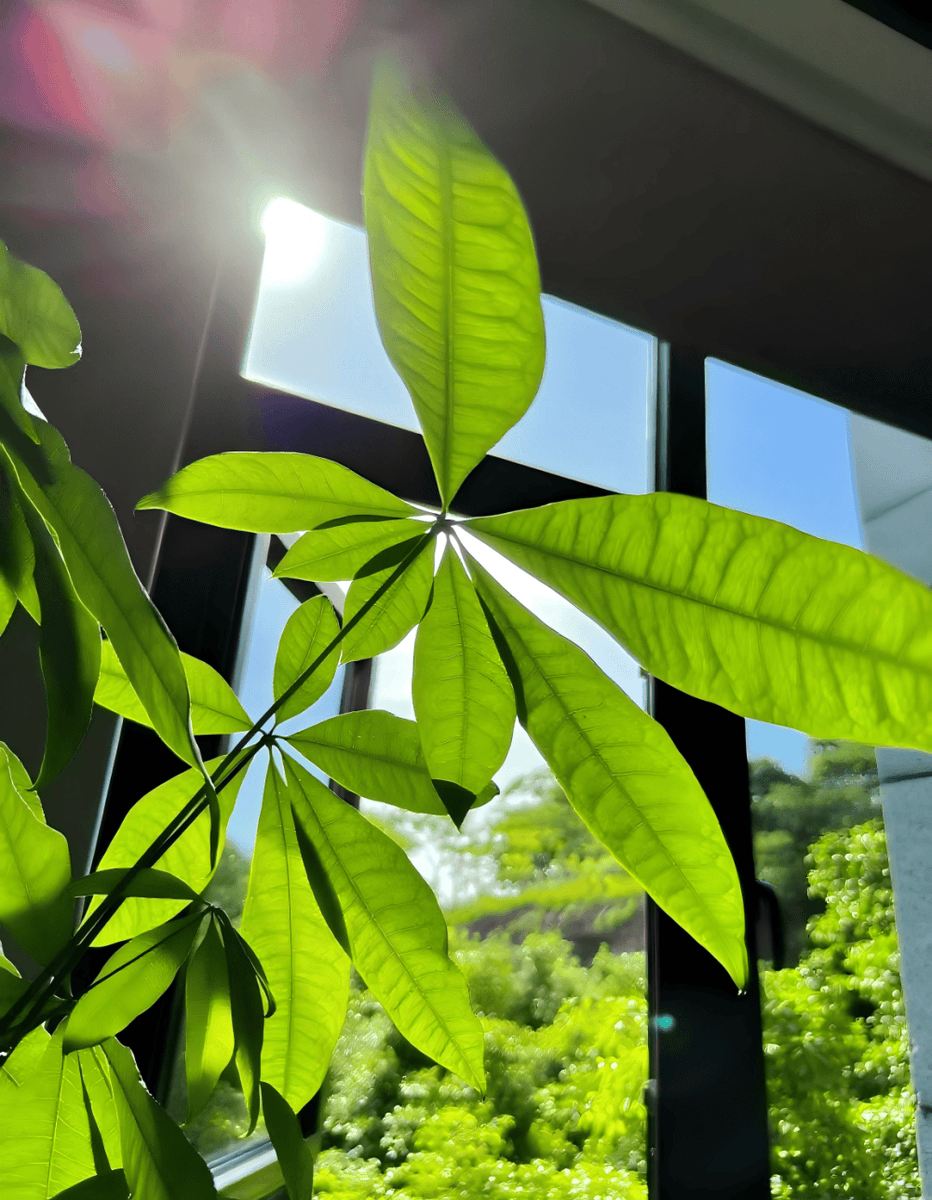 Jenny powers tweet media