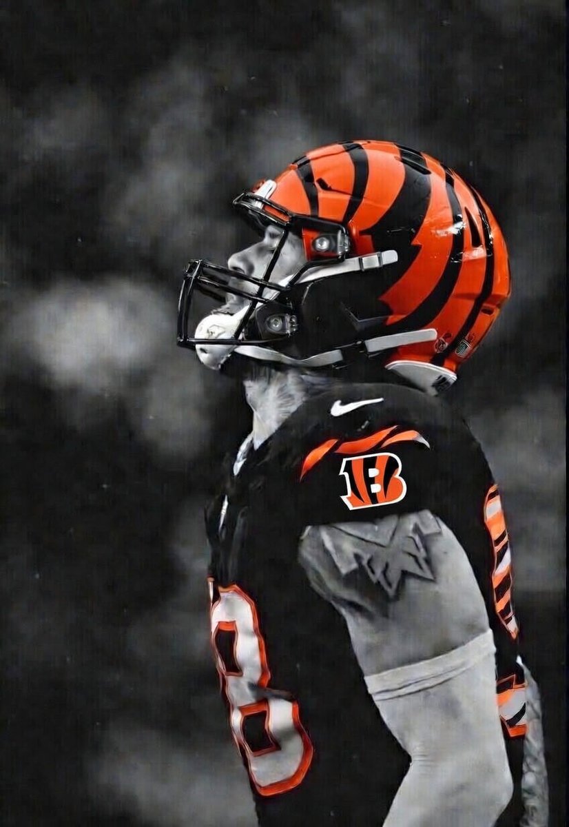 Michael Rolf tweet media