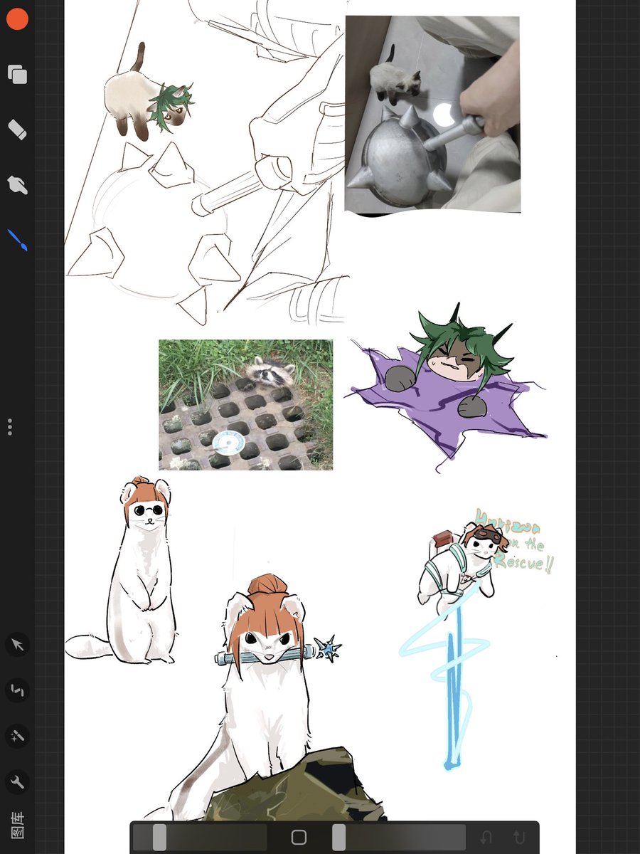 茨包包Baobao tweet media