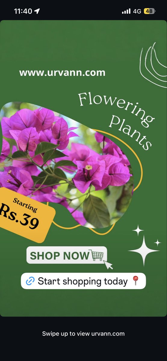 prateekj18's tweet photo. @Urvannindia why is your ad saying starting ₹39 with picture of Bougainvillea when the actual price on your site is 299+ https://t.co/HflzSpl9Bz