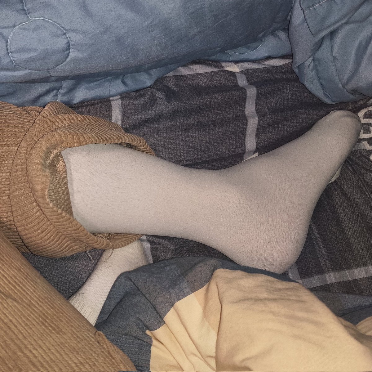 司晨呜呜嘤嘤 tweet media