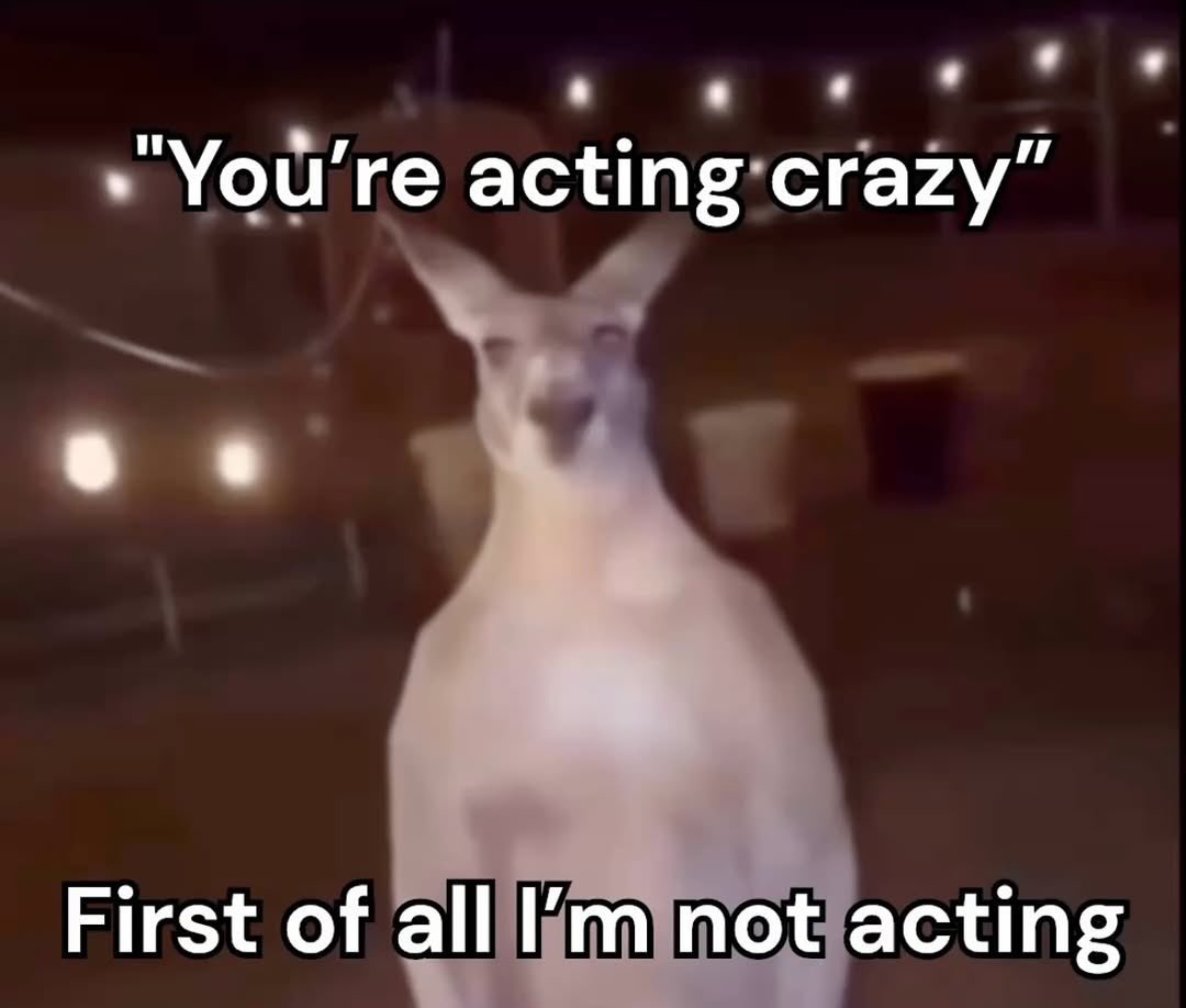 raccoon aesthetic. (@raccoonesthetic) on Twitter photo 