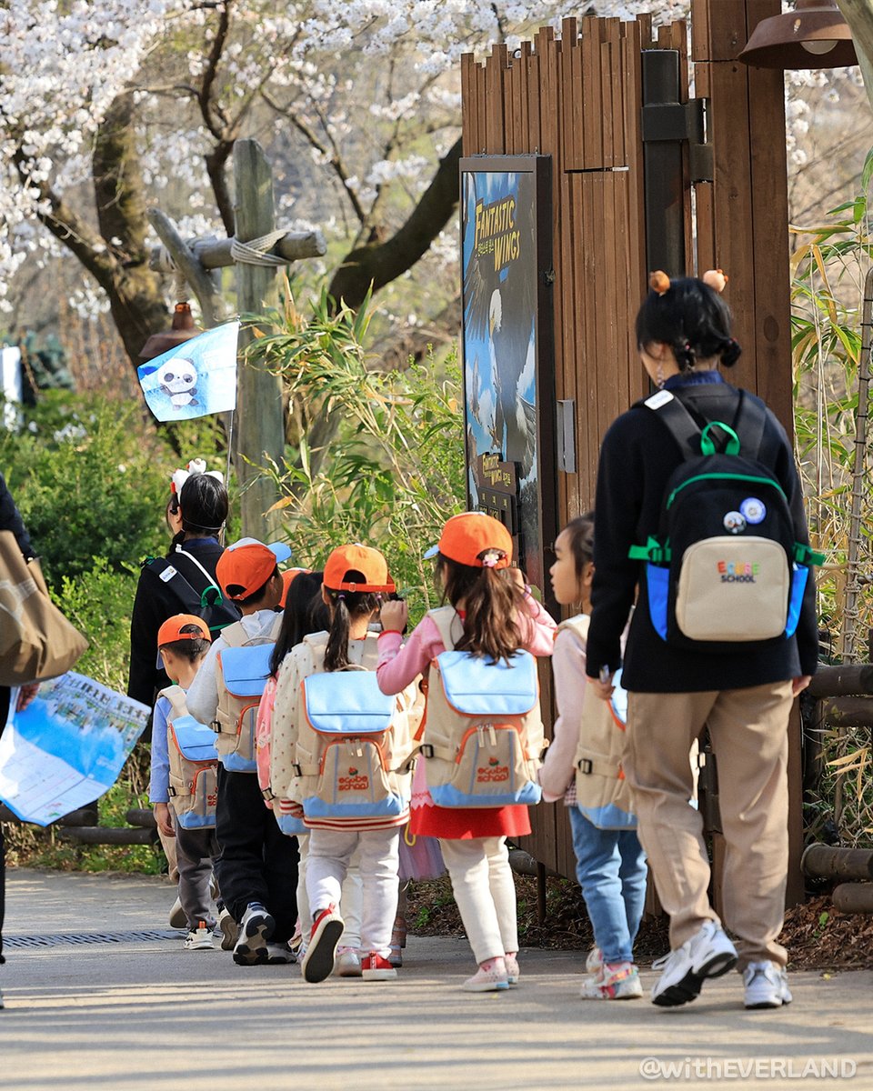 에버랜드 tweet media