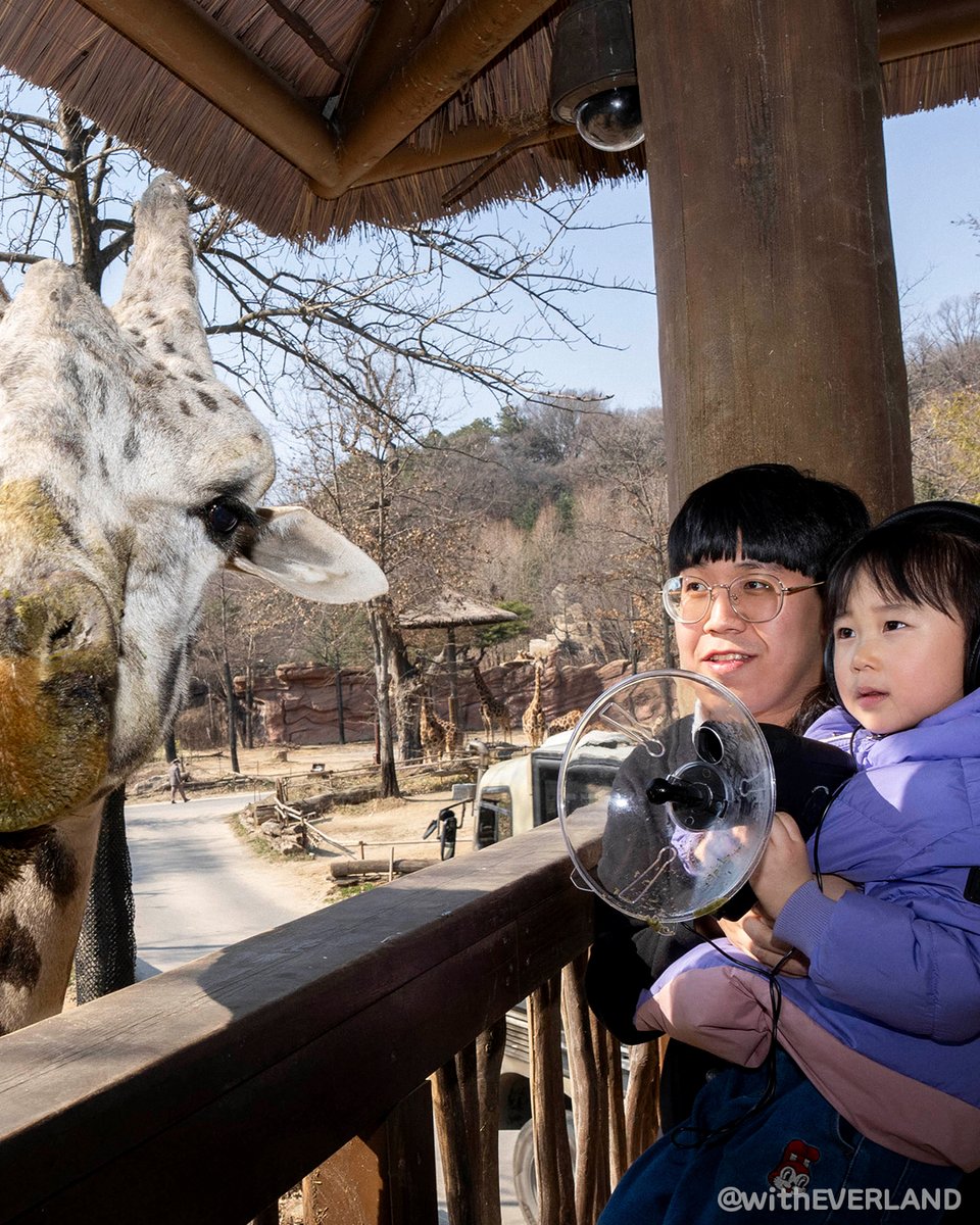 에버랜드 tweet media