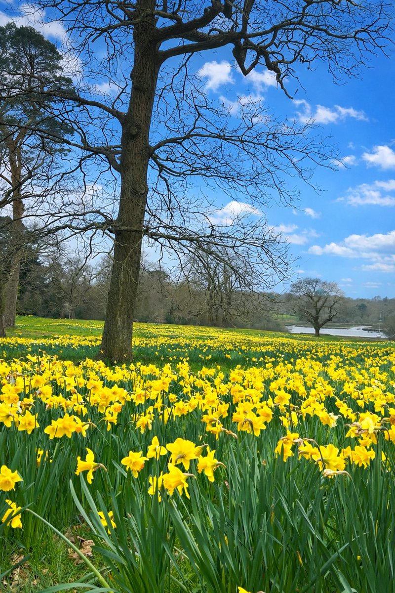 Alcohol Free tweet media