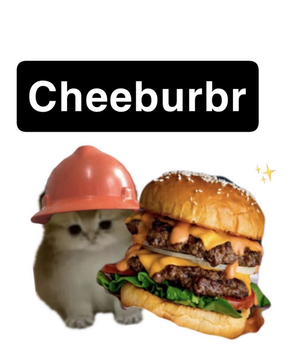 raccoon aesthetic. tweet media