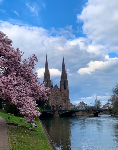 Gwénaël Santerre tweet media