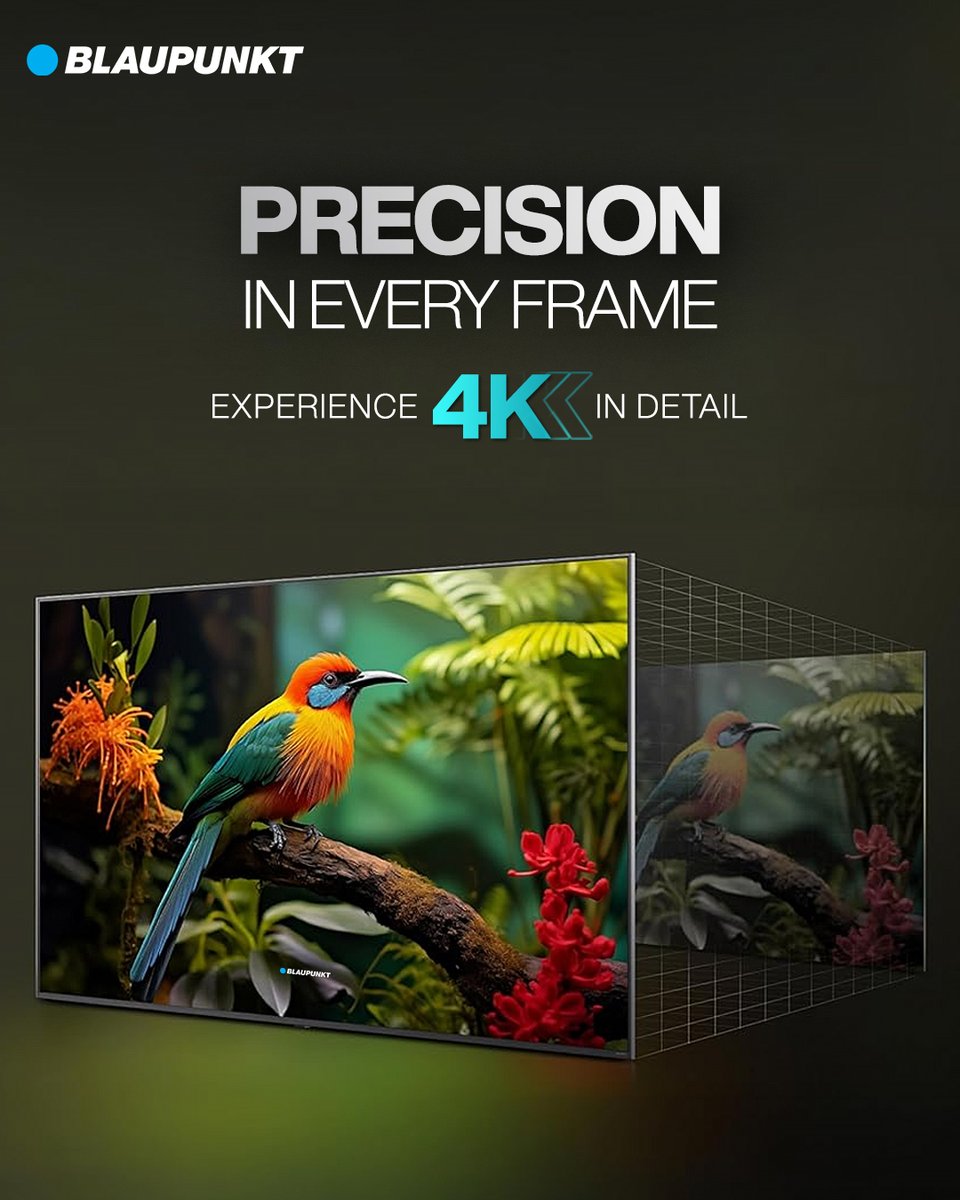 See every color, every feather, every detail just the way it’s meant to be. Experience stunning clarity and lifelike visuals with Blaupunkt 4K TVs, where precision meets immersive entertainment. ✨📺

#BlaupunktTV #4KExperience