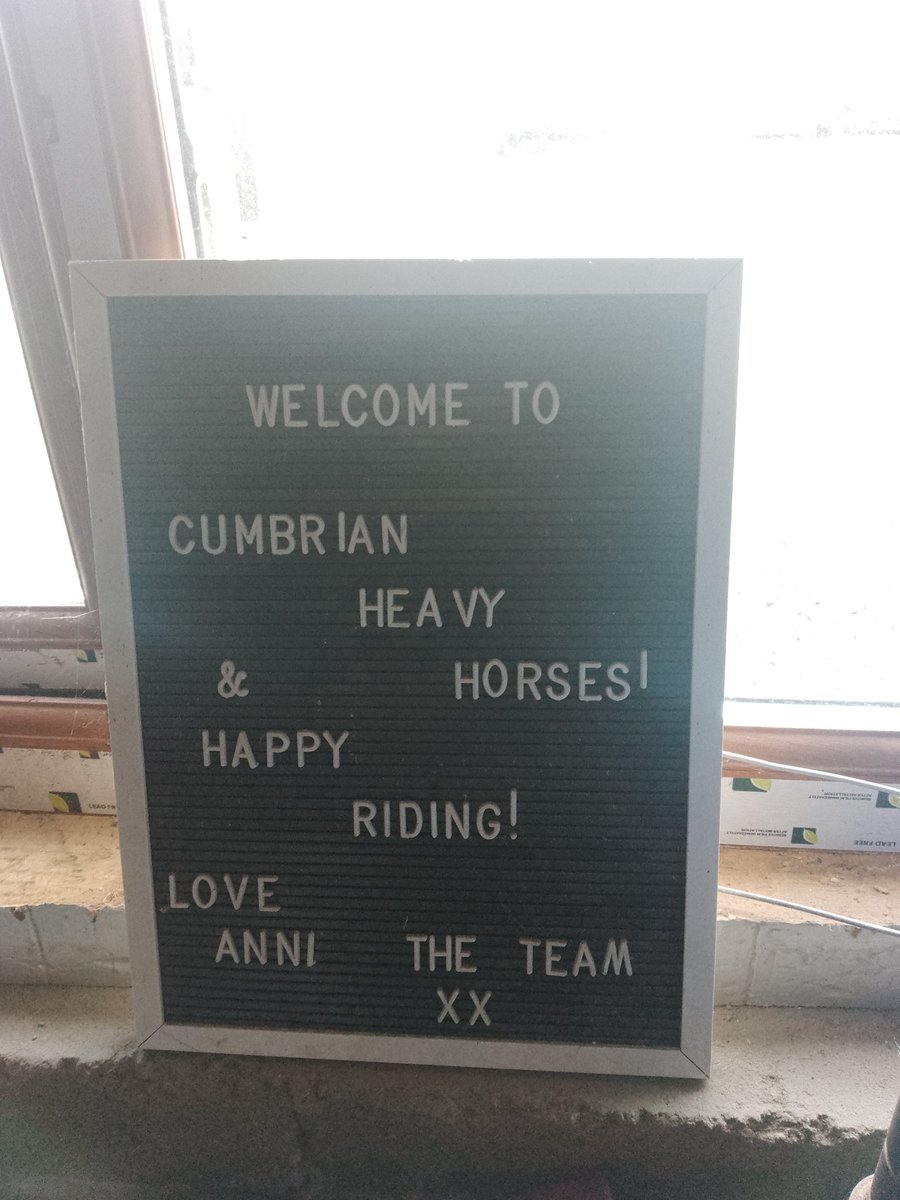 Tarlie Bear tweet media