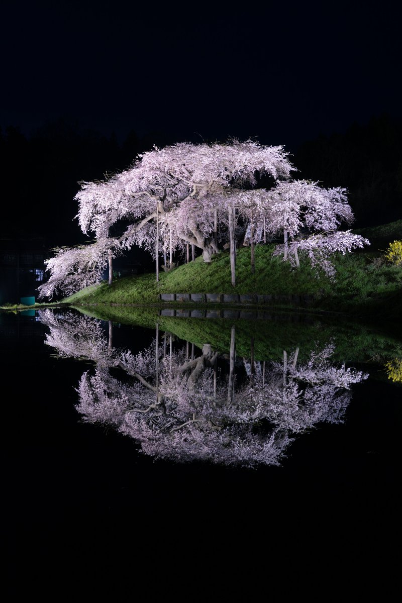 Ryogo Urata tweet media