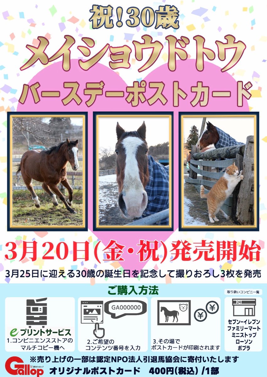 サンスポZBAT!競馬 tweet media