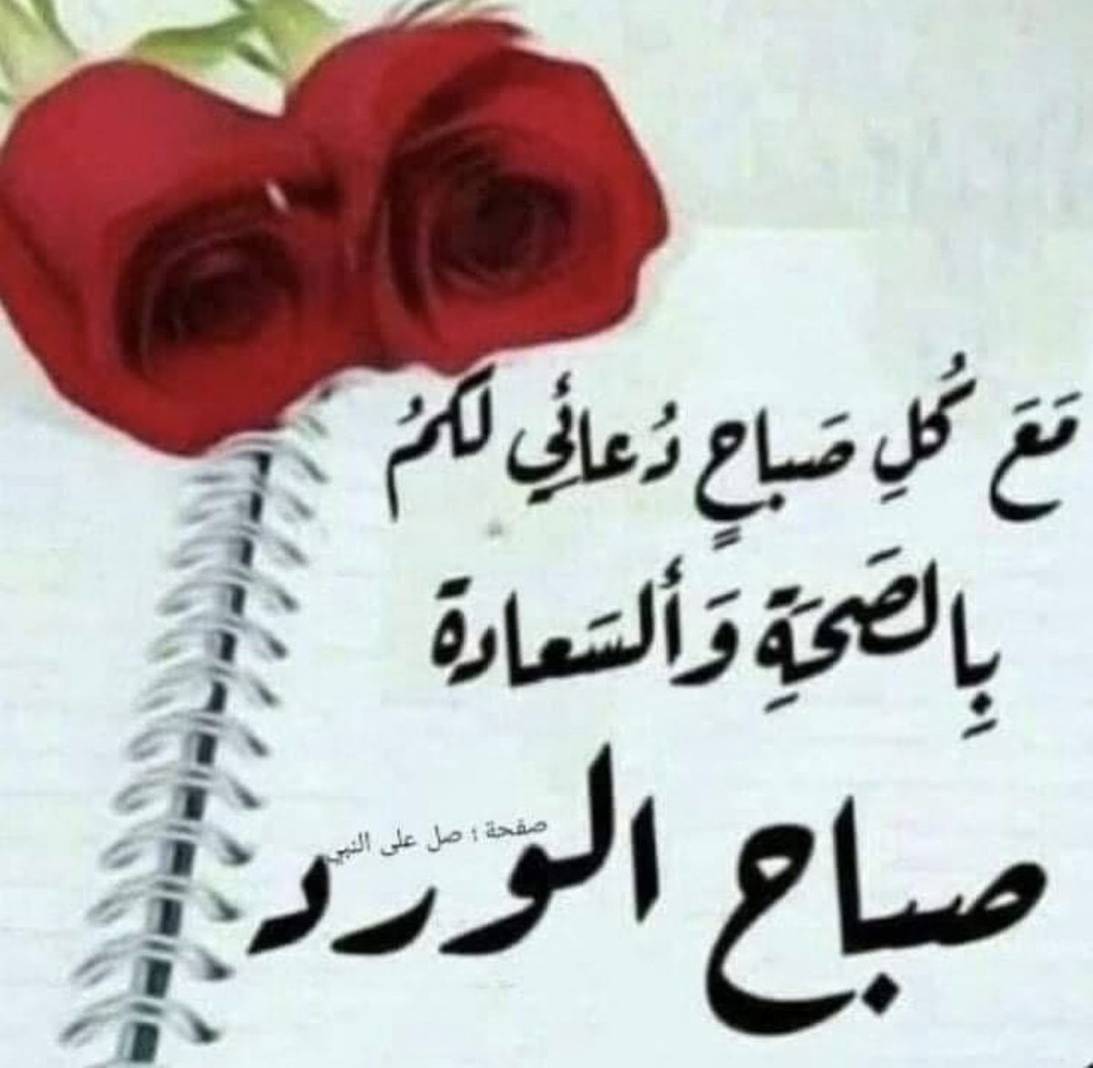 flower8762's tweet photo. عز عليه فراق بعض الاحبه
 كانوا لي اكثر من اخوه
قالوا لي أبدا الأيام ما تفرقنا وضاع الوعد
بسلة  بالأزقه
قلت حسافه ماهكذا كانت الصحبه
ونحنا مددنا لهم جسوره المحبه
قالو عساها  الأيام بيوم تجمعنا
فقلت   من بعد ماجفت ينابعنا
مستحيل  ترجع تروينا
ولو كان مطر  يسقي زرعنا
فالدمع اش يرجعوا https://t.co/igIWD43Gxq