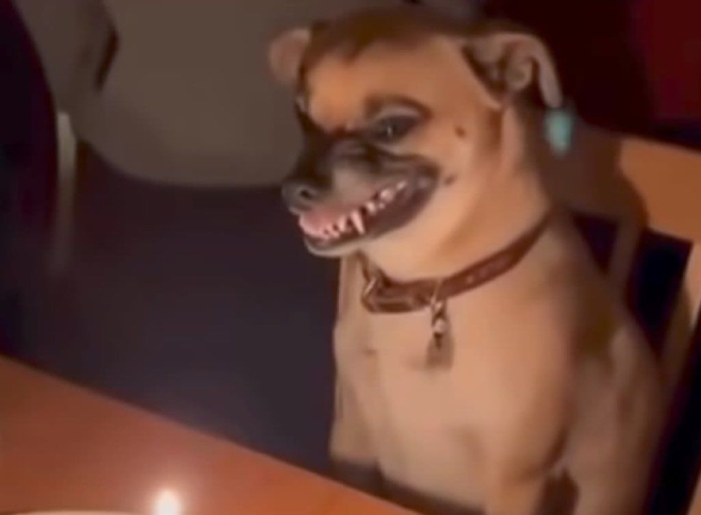 Baltom.base.eth❤️‍🔥 tweet media