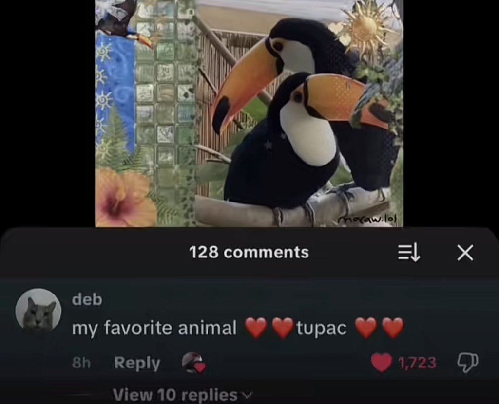 DoubleWit tweet media