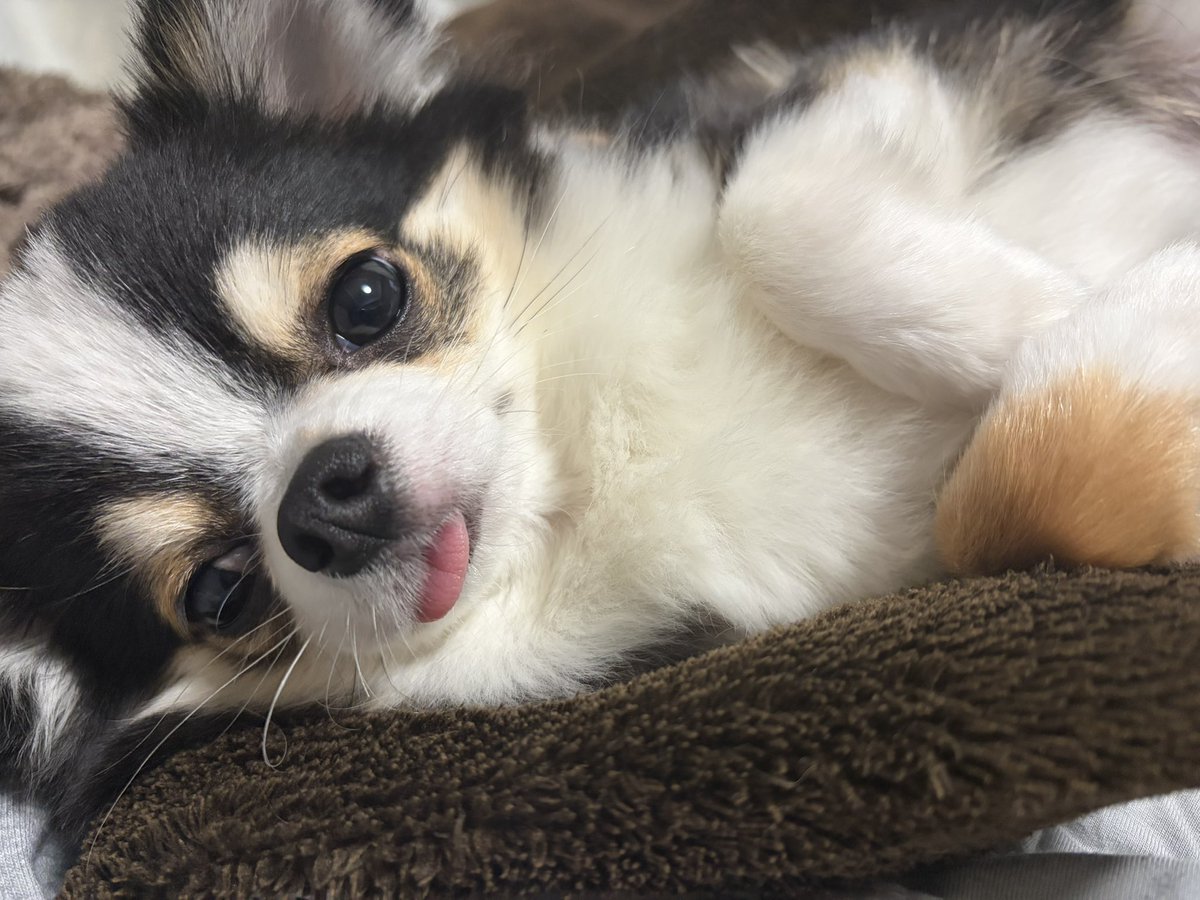 もちょちょ愛してる。 tweet media