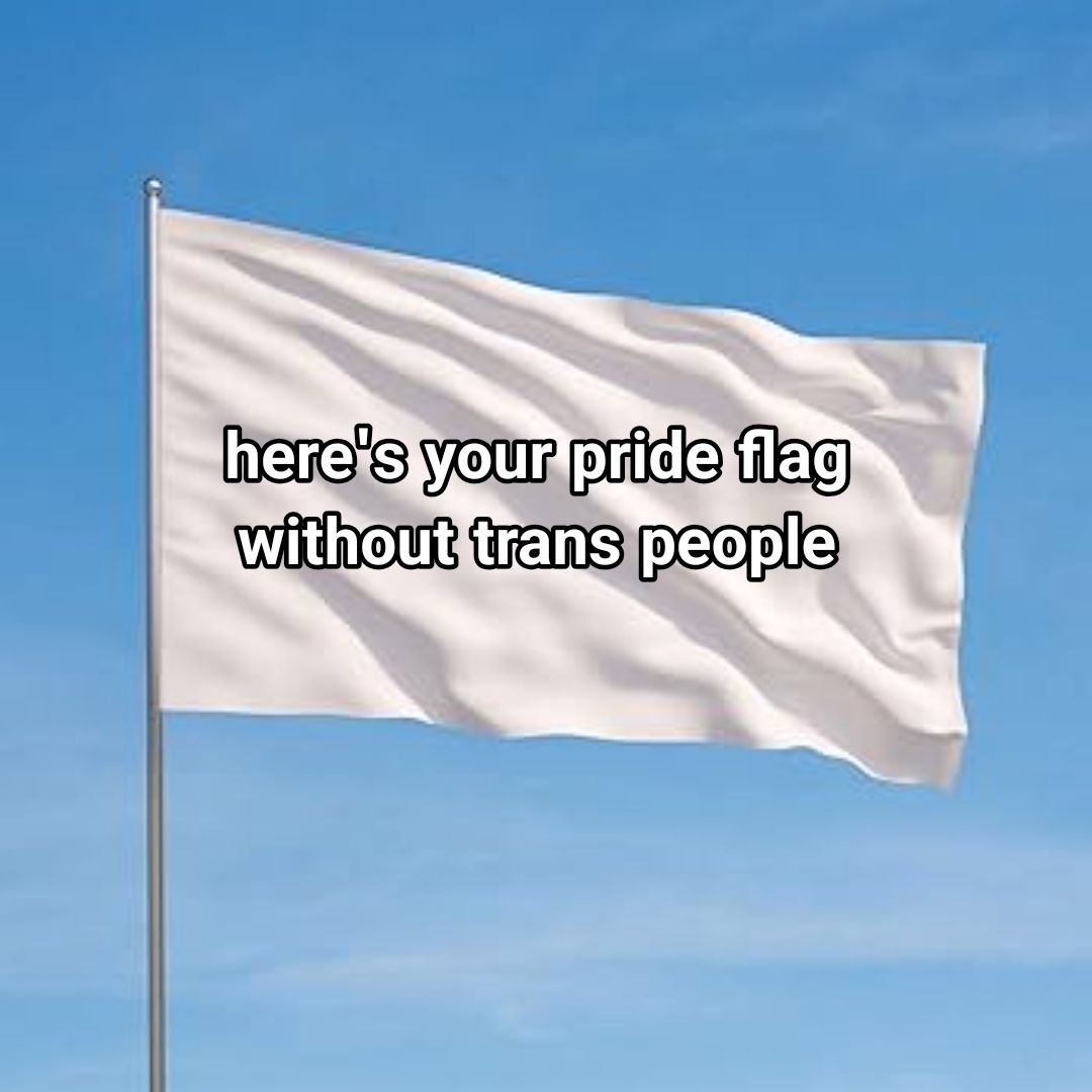 Gay Not Queer tweet media