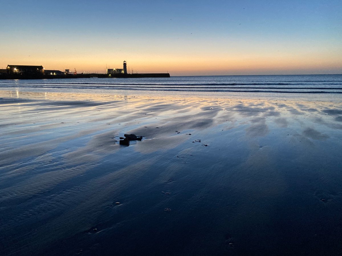 Faith Young Writer tweet media