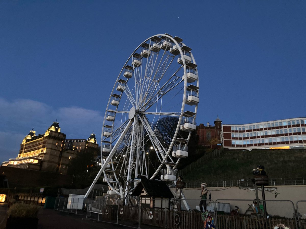 Faith Young Writer tweet media