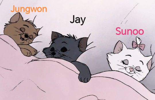 #SUNOO Sleeping with his hyungs
