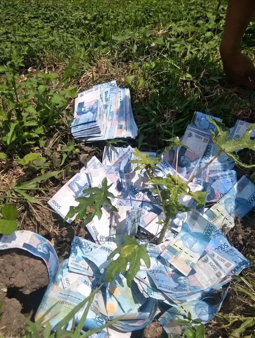 umi rosdiah tweet media