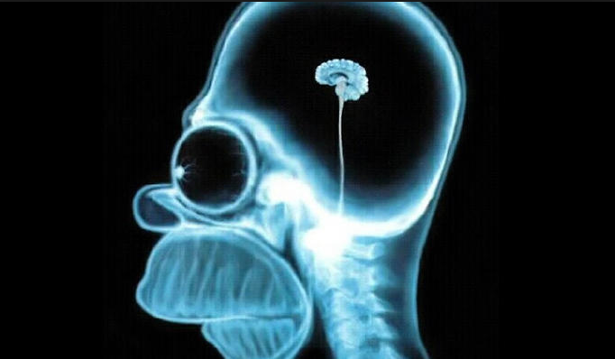 Radio Free Mobile tweet media