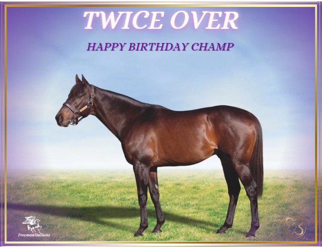 FreemanStallions tweet media