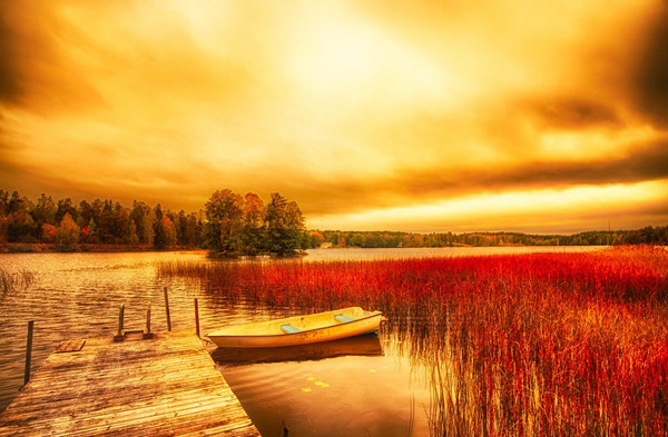 dhananjay.alamkhane tweet media