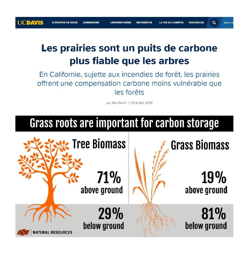 Emmanuel Rizzi tweet media