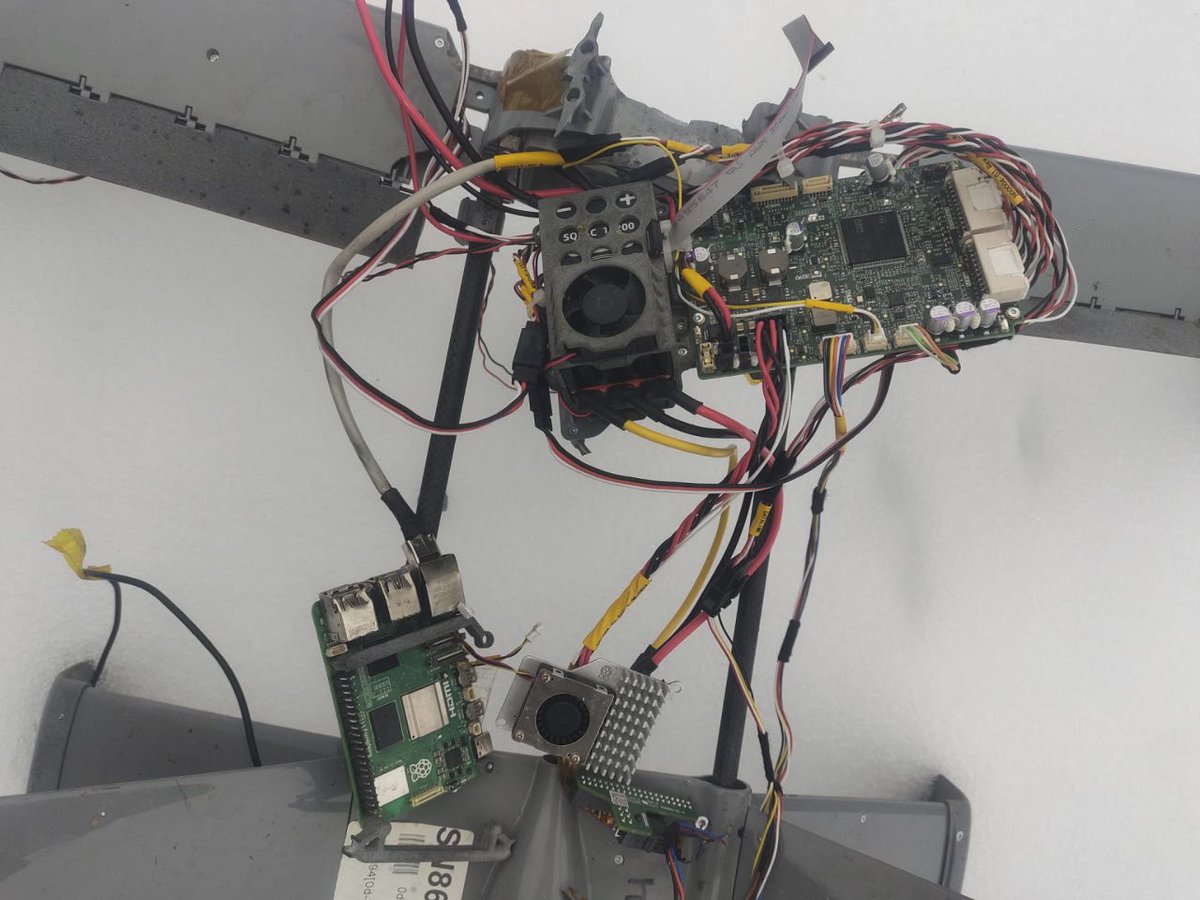 Tomasz Darmolinski tweet media