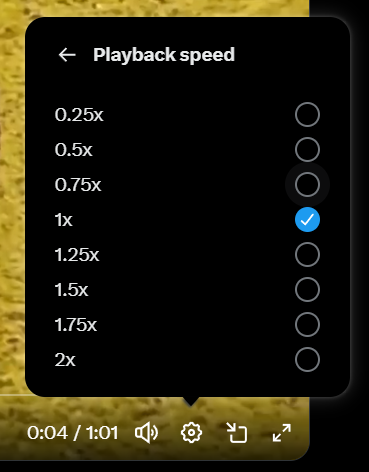 Lavis 💡 tweet media