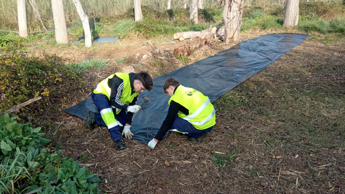 auroracet's tweet photo. Conservació del bosc de ribera del riu Francolí a Constantí, amb el suport de la @dipta_cat, amb una subvenció de 17.644,00 €.
Més informació: https://t.co/JKXW8iDVGw https://t.co/1RzjSRJBWT