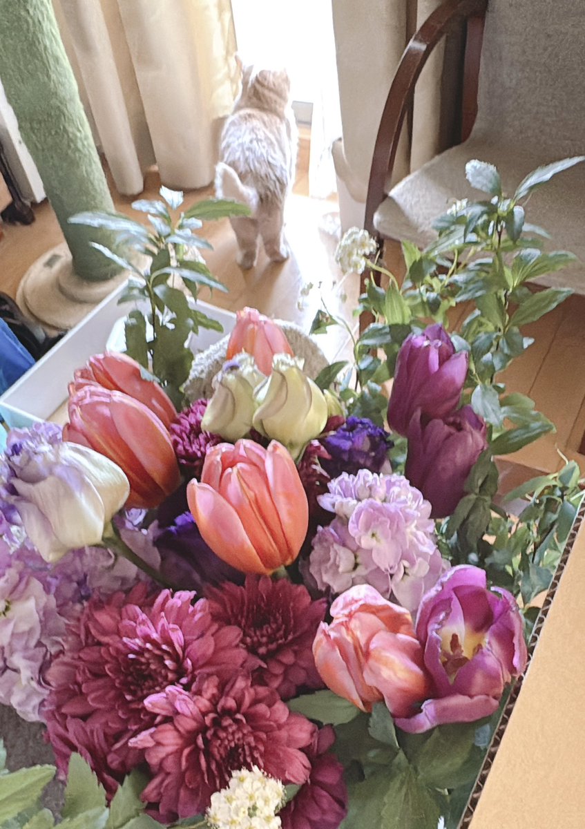 羽海野チカ tweet media