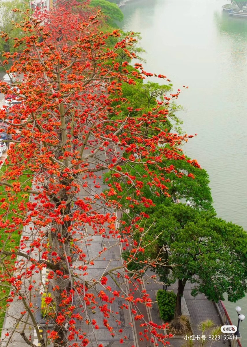 raynillda tweet media