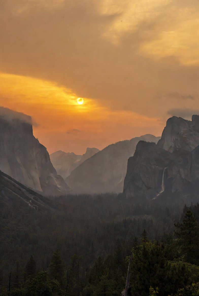 Athanasios tweet media